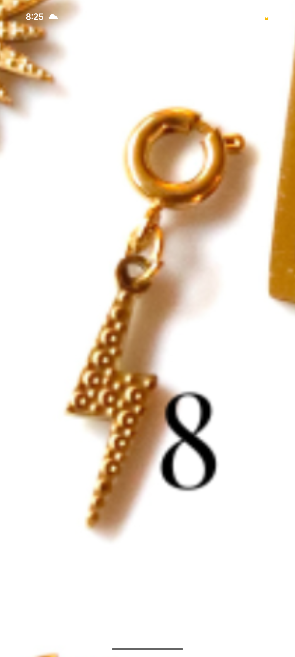 Stainless Steel Gold Plated Eclectic Charms