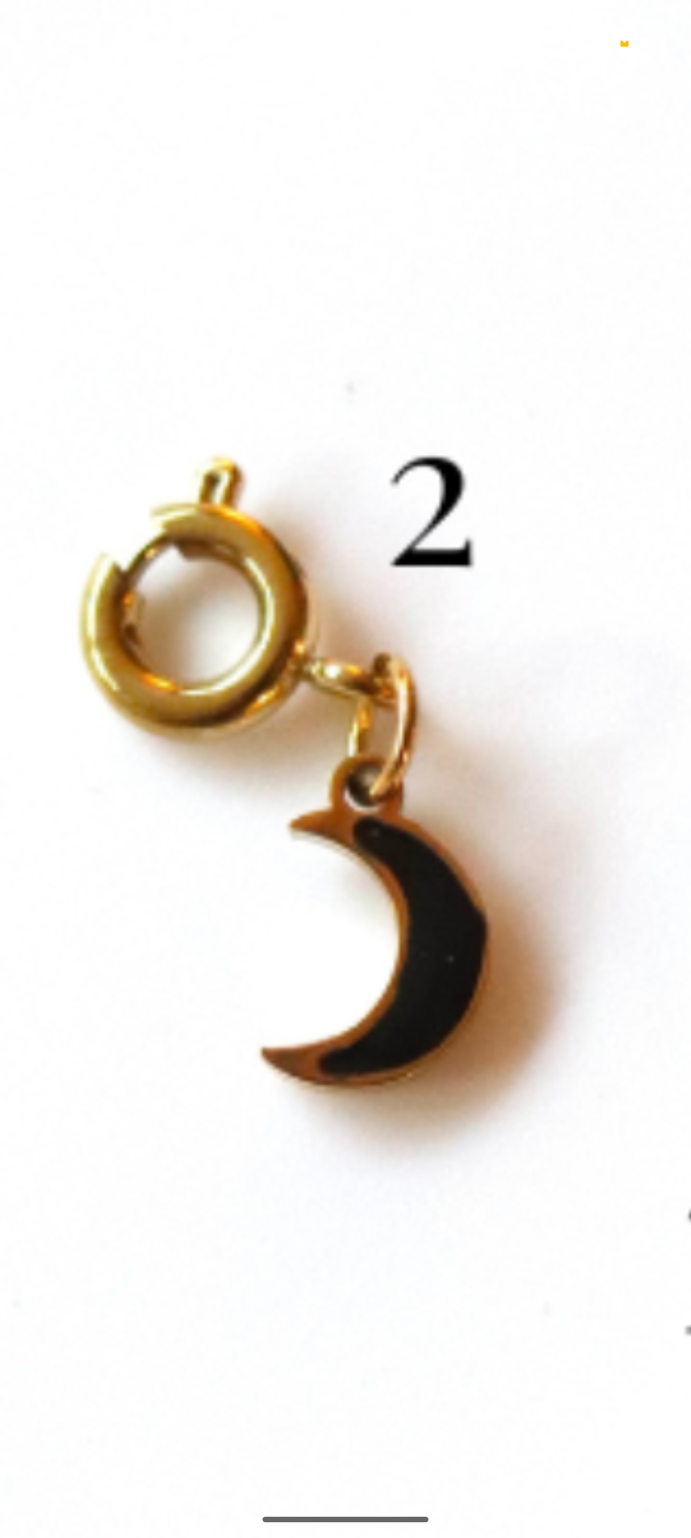 Stainless Steel Clippable Black and White Collection Charms